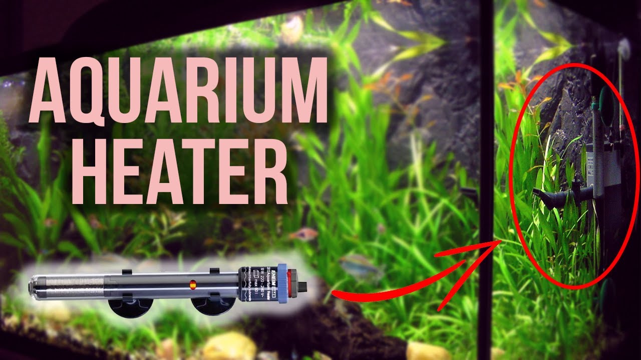 Aquarium Heaters